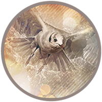 Avatar du membre